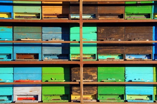 Colorful Apiary