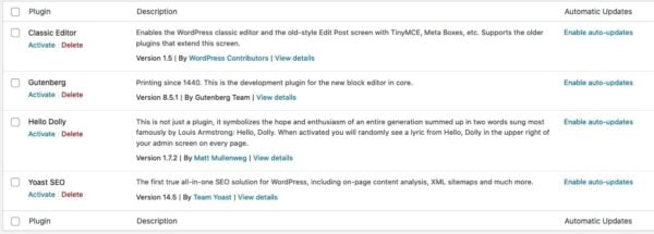 enabling auto-updates in WordPress 5.5