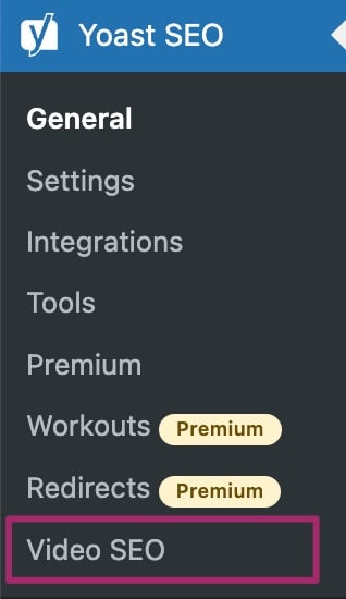 Screenshot of the "Video SEO" menu item.
