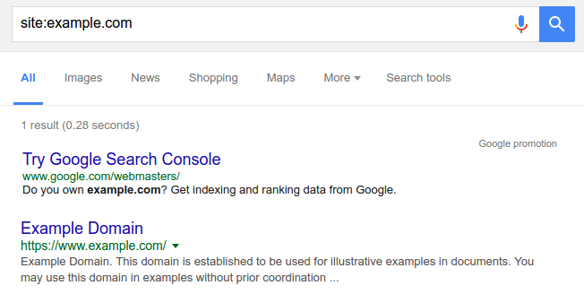 A screenshot of a Google search bar with the text - site:example.com