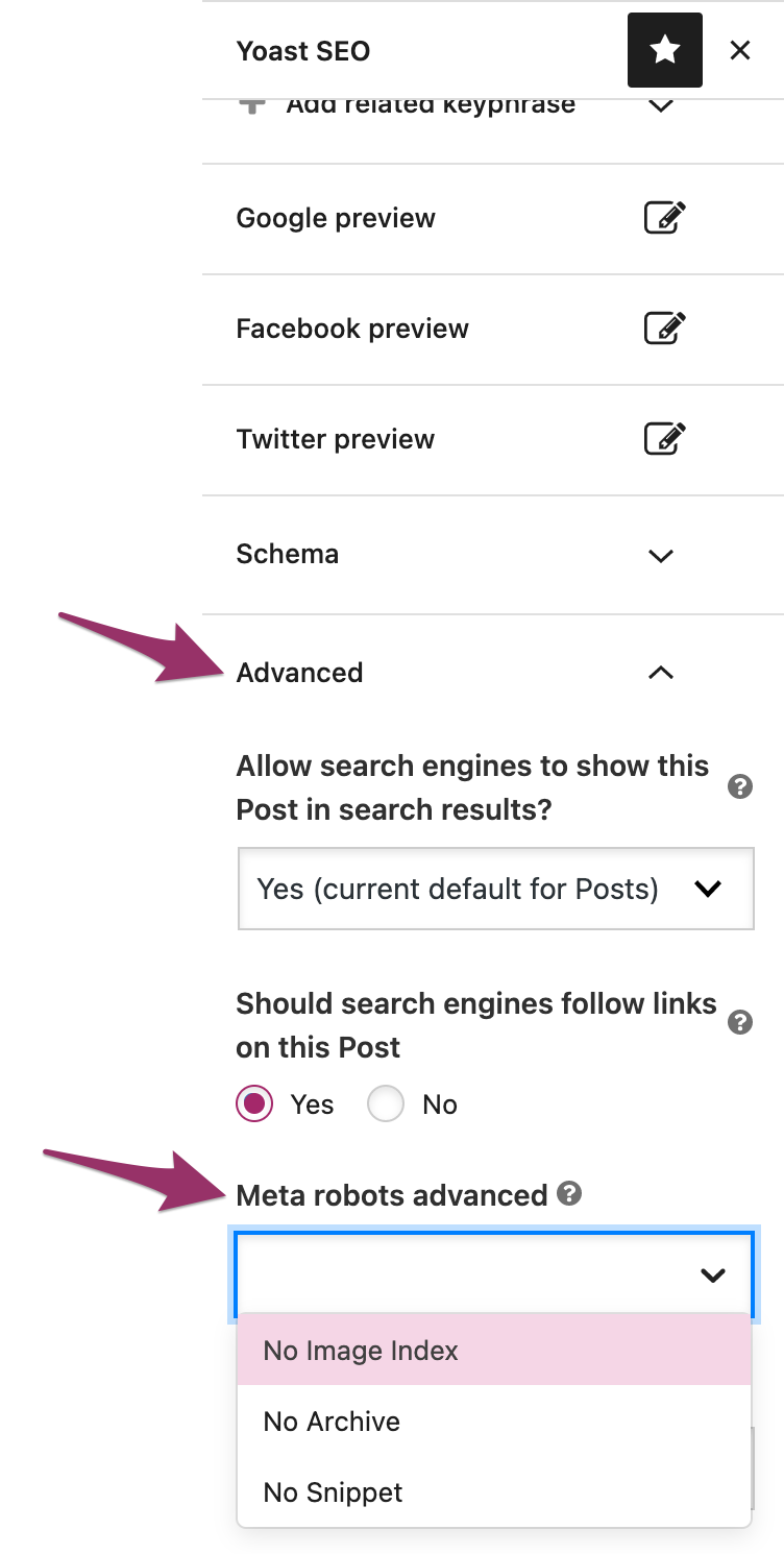 Meta robots advanced option in Yoast SEO