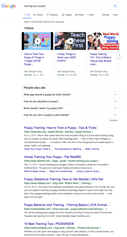 search results for 'training your puppy' 